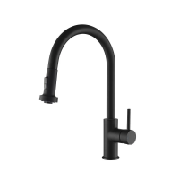 Смеситель для кухни Saona 2316/03 F Black