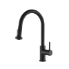 Смеситель для кухни Saona 2316/03 F Black